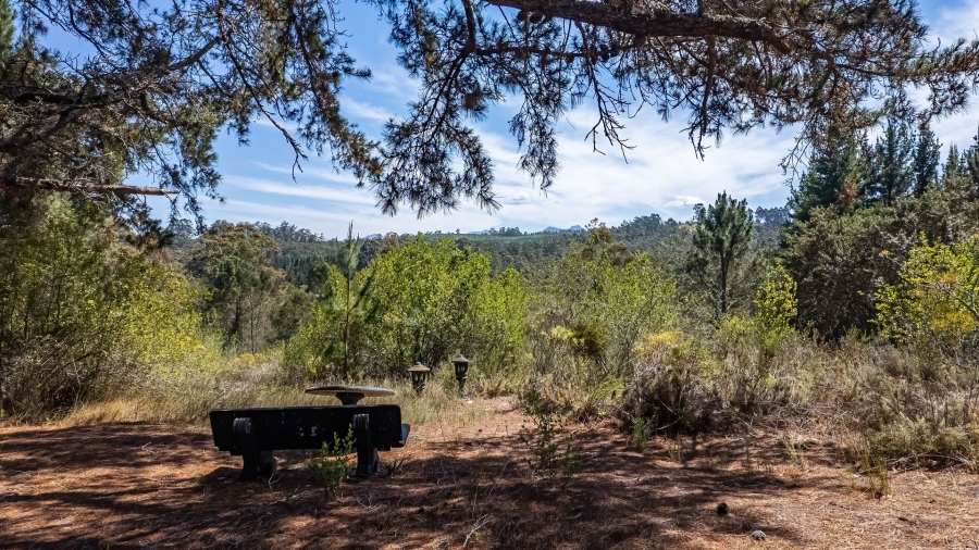 Commercial Property for Sale in Wilderness Rural Western Cape